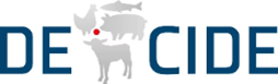 Decide logo