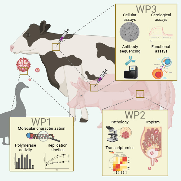 Work package illustration