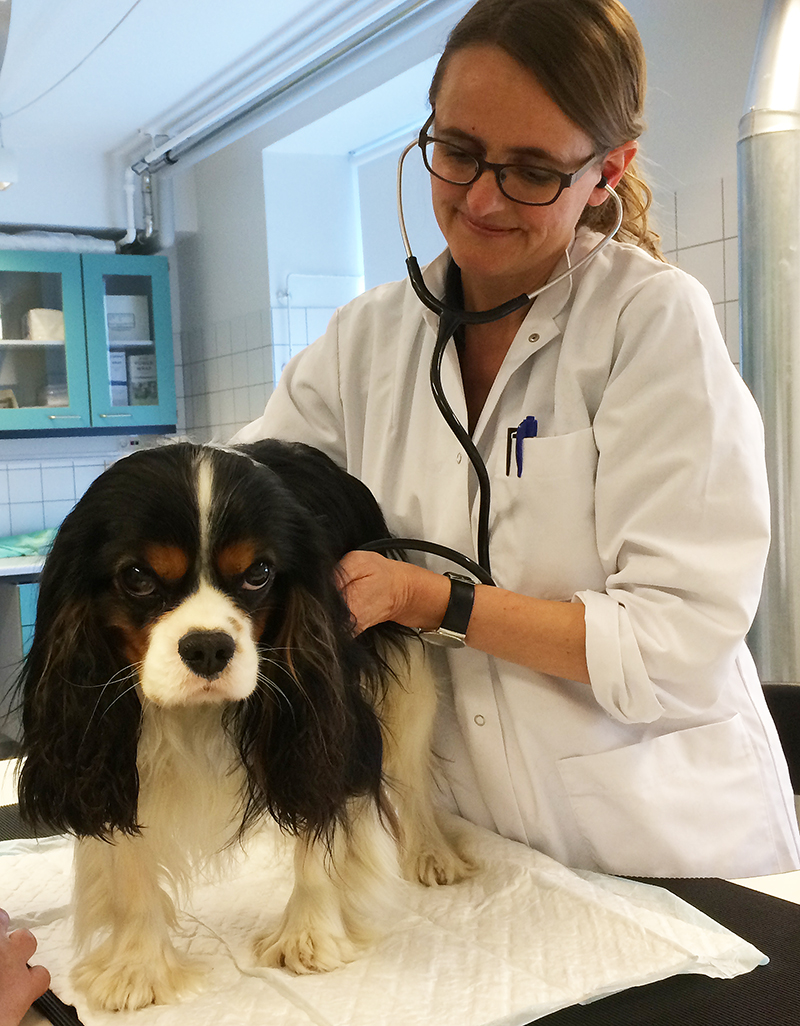 Foto af Lisbeth Høier Olsen med hund