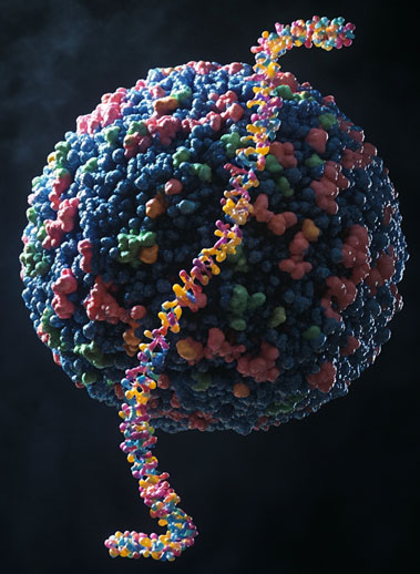 single cell sequencing