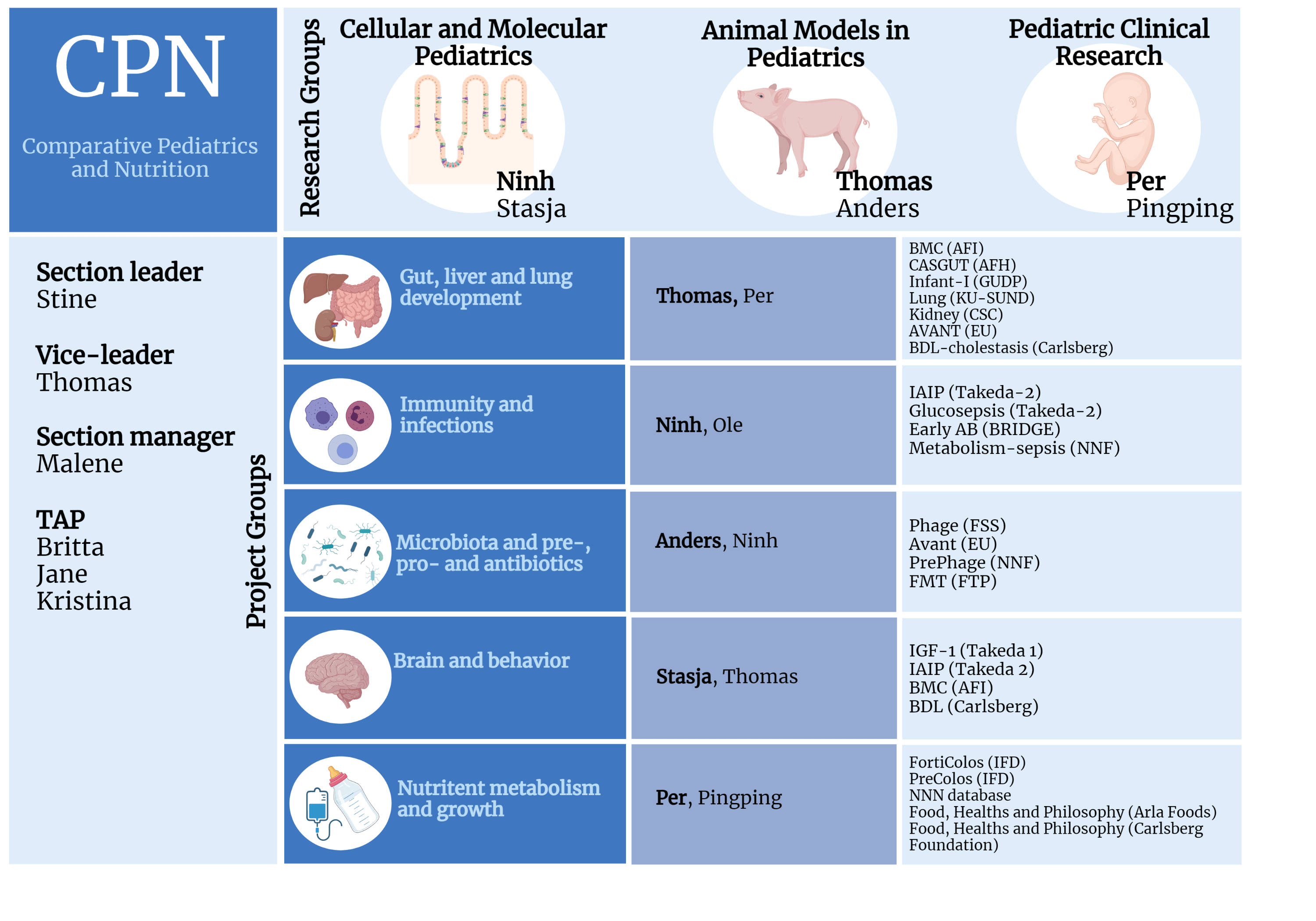 Grafik som viser sektionens struktur