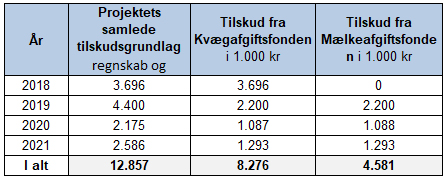 Excel fremstilling af det samlede budget